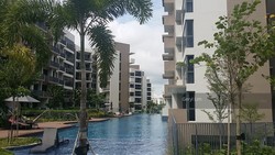 Palm Isles (D17), Condominium #204463601